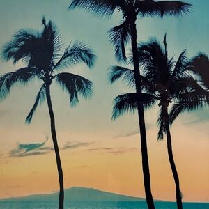 Meet your Posher, Kashmere Bliss